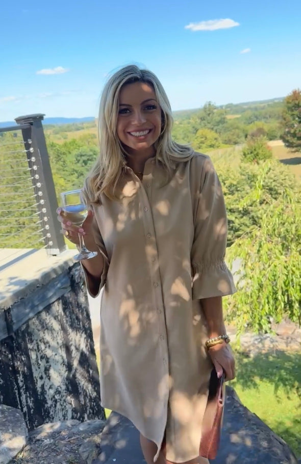 The Elizabeth Suede Dress - Beige