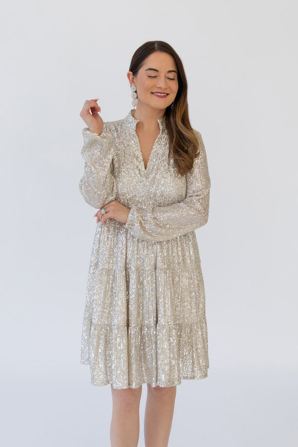 Sail To Sable Charlotte Sequin Dress - Silver
