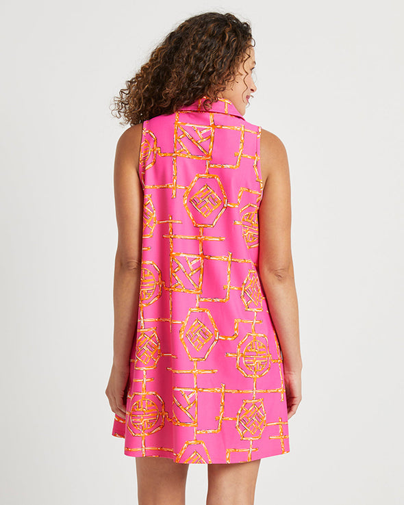 Back view of Jude Connally Harlee Dress in Bamboo Lattice Pink/Apricot