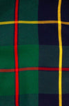 Close up of the Gretchen Scott Ruff Neck Dress - Plaidly Cooper - Green Plaid pattern
